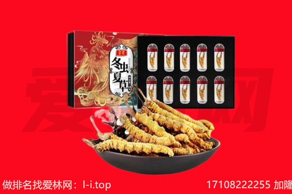 湘西回收虫草.jpg